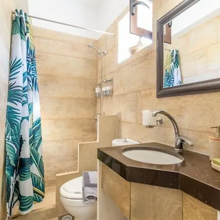 Vilă Stone With Private Pool